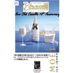 New Club Camellia