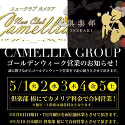 New Club Camellia