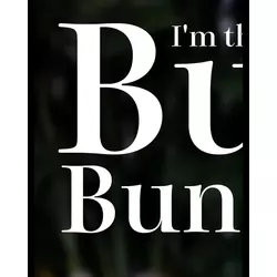 Bunny Bunny