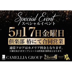 New Club Camellia