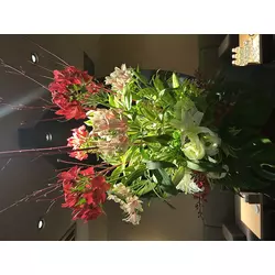絲紋 -別邸 凛-