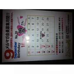 New Club Camellia