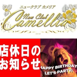 New Club Camellia