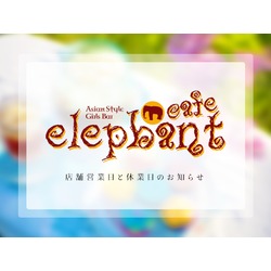 elephant cafe