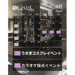 LeveL sis