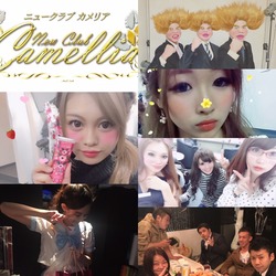 New Club Camellia