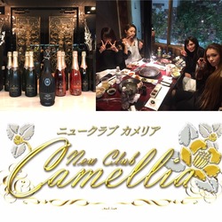 New Club Camellia