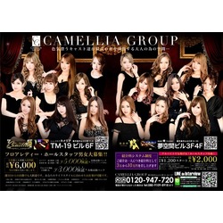 New Club Camellia