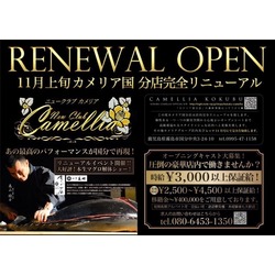 New Club Camellia