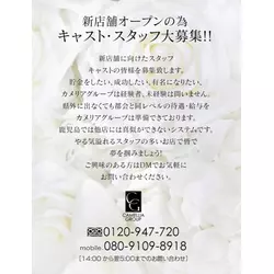 New Club Camellia