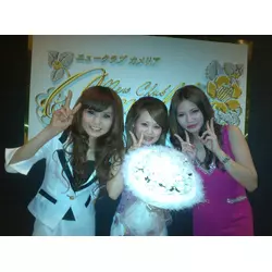 New Club Camellia