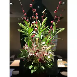 絲紋 -別邸 凛-