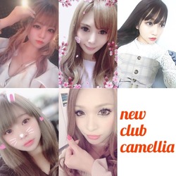 New Club Camellia