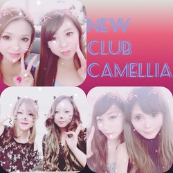 New Club Camellia