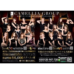 New Club Camellia