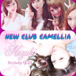 New Club Camellia