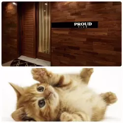 CLUB PROUD