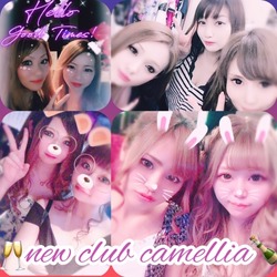 New Club Camellia