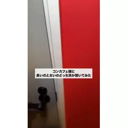 Concafe Lounge Devil Party