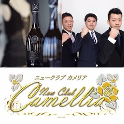 New Club Camellia