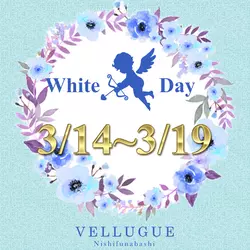 西船橋  Vellugue