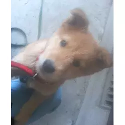 内田一哉