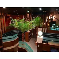 CLUB OZ