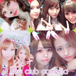 New Club Camellia