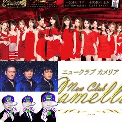 New Club Camellia