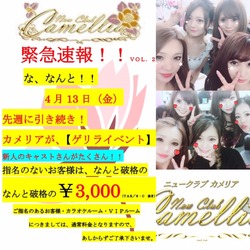 New Club Camellia