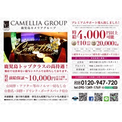 New Club Camellia