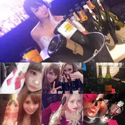 New Club Camellia