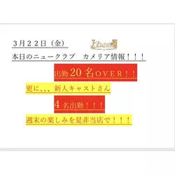 New Club Camellia
