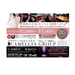 New Club Camellia