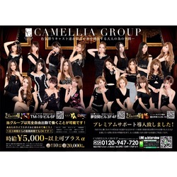 New Club Camellia