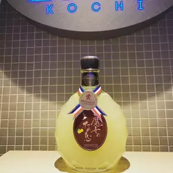 club LUCIA KOCHI