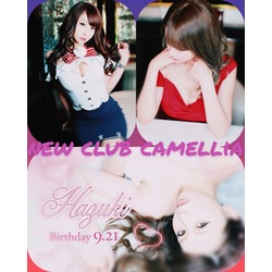 New Club Camellia