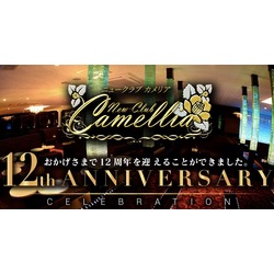 New Club Camellia