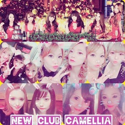 New Club Camellia