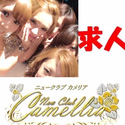 New Club Camellia