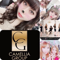 New Club Camellia