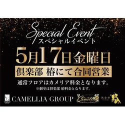 New Club Camellia