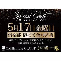 New Club Camellia