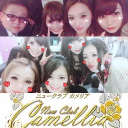 New Club Camellia