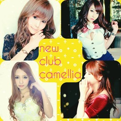 New Club Camellia