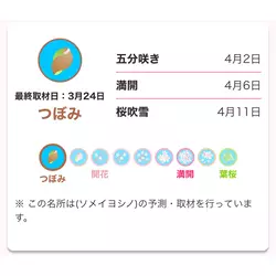 NEW CLUB Dearest