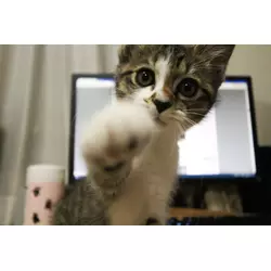 まっちゅん