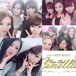 New Club Camellia