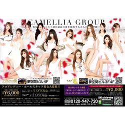 New Club Camellia