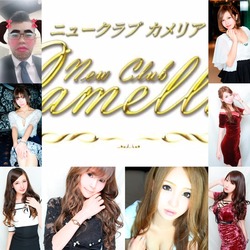 New Club Camellia